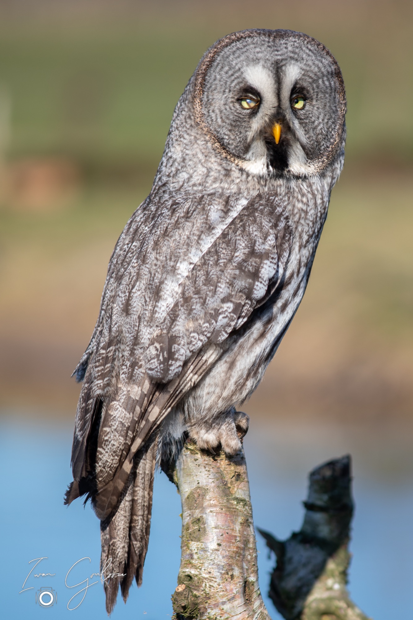 04 maart 2022 153041  5D44156